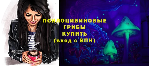 первитин Алексеевка